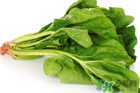 减肥为什么菠菜和豆腐不能一起吃,吃蔬菜能减肥吗