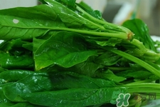 菠菜不能和什么一起吃?,菠菜不能和什么一起吃/同吃 食物相克大全