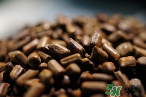 糖尿病能吃决明子吗,糖尿病可以喝决明子的功效和作用