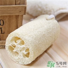 丝瓜络的功效和作用,丝瓜和丝瓜络功效一样吗 丝瓜络的功效和作用,丝瓜和丝瓜络功效一样吗