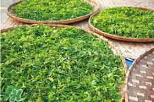 冬天湿气重喝什么茶,冬天喝什么茶去湿气