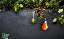 吃草莓中毒了怎么办,吃草莓食物中毒怎么办