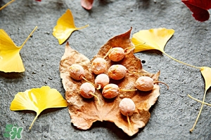 银杏如何去除果皮,银杏果里面的薄皮怎么去除 银杏如何去除果皮,银杏果里面的薄皮怎么去除