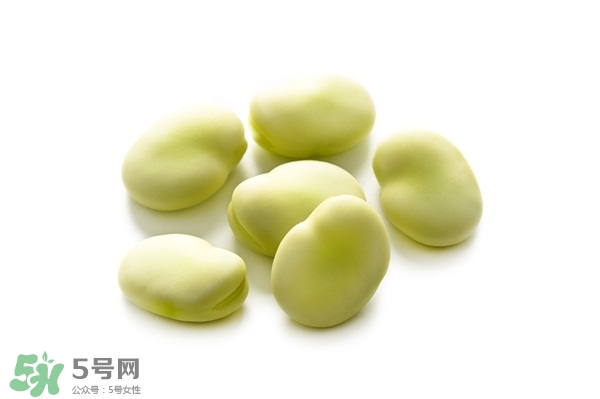 减肥可以吃蚕豆吗蚕豆的热量高吗,新鲜蚕豆的热量 减肥可以吃蚕豆吗蚕豆的热量高吗,新鲜蚕豆的热量