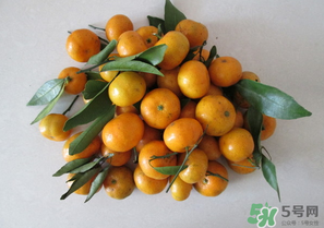 小橘子的营养价值及功效和作用,小橘子的营养价值是什么