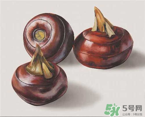 荸荠适合孕妇吃吗,孕期荸荠孕妇能吃吗