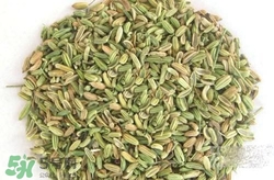 来月经可以吃小茴香吗,来月经可以吃茴香吗