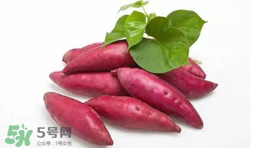 孕妇能吃番薯叶吗 怀孕可以吃番薯叶吗,孕期可以吃番薯叶吗