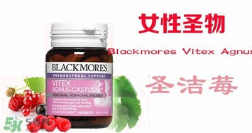 圣洁莓来月经可以吃吗,吃了圣洁莓月经紊乱