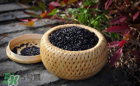 孕妇吃黑芝麻好不好,孕妇多吃黑芝麻的好处 孕妇吃黑芝麻好不好,孕妇多吃黑芝麻的好处