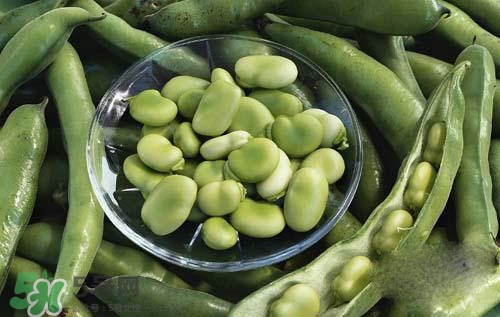 蚕豆糖尿病人能吃吗?,糖尿病人能吃蚕豆不