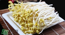 孕妇能吃黄豆芽么,孕早期可以吃黄豆芽吗