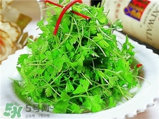 香菜根能吃吗?香菜根有哪些功效和作用,香菜根的功效和作用及食用方法