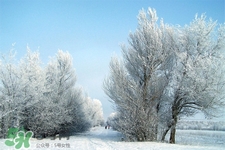 冬天怕冷吃什么食物调理,冬天怕冷吃什么食物最好