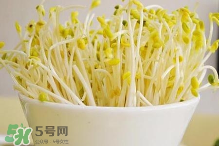 冬天可以发豆芽吗?,冬天可以发豆芽吗7