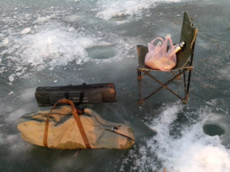 冬天钓鱼用什么饵料,秋冬天钓鱼用什么饵料