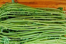 冬天的空心菜可以吃吗,冬天有没有空心菜