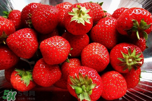 现在有草莓卖吗,现在哪里有草莓买