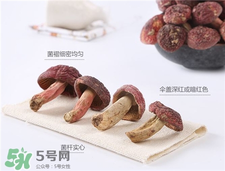 红菇的营养价值及功效和作用,红菇功效和作用及营养