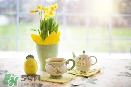 荷叶茶能加蜂蜜吗?,荷叶茶加蜂蜜的功效和作用