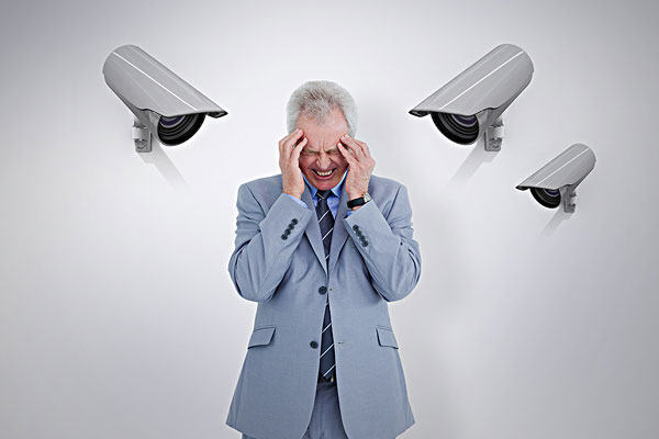 推荐白芍素颜霜(白芍护肤品)