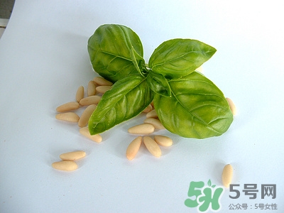 松子能壮阳吗,吃松子真的可以壮阳吗 松子能壮阳吗,吃松子真的可以壮阳吗