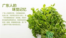 西洋菜的营养价值和功效和作用,西洋菜有什么营养功效