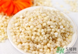 高粱米有什么营养和功效,吃高粱米有什么好处和坏处
