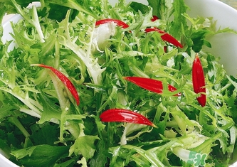 苦菊不能和什么一起吃,苦菊和什么相克,苦菊不能和什么一起吃吗