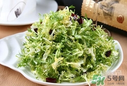 苦菊能减肥吗,苦菊减肥吗