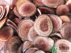 鹿茸能泡酒吗,鹿茸泡酒什么功效 鹿茸能泡酒吗,鹿茸泡酒什么功效