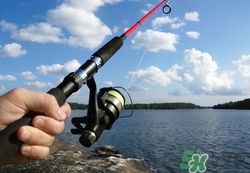 臭豆腐钓鱼的效果,臭豆腐可以钓鲫鱼吗