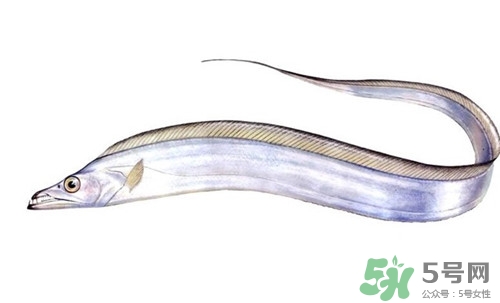 带鱼有点发黄还能吃吗,带鱼发黄还能吃吗 冻带鱼发黄还能吃吗