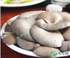 香菇和蘑菇哪个营养更好,鲜蘑菇的营养价值及功效