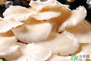 平菇怎么洗才干净,平菇怎么洗才干净又不碎