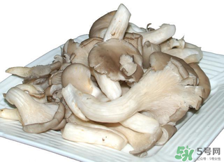 平菇营养成分,平菇的营养成分有哪些