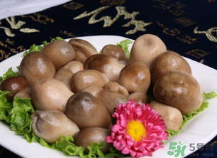 草菇的介绍,草菇是什么菇 草菇的介绍,草菇是什么菇