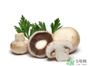 鲜蘑菇怎么保存,鲜平菇怎么保存