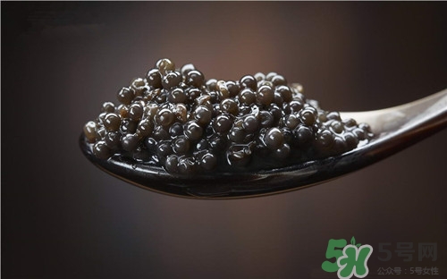 鱼子酱是啥鱼子,鱼子酱是啥鱼 鱼子酱是啥鱼子,鱼子酱是啥鱼