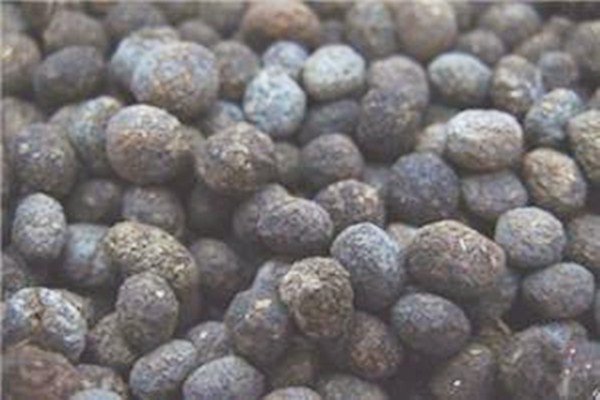 望月砂有什么主治功效(望月砂的功效和作用)