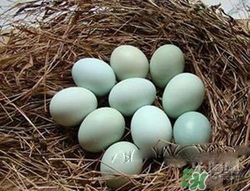 鸡下绿皮鸡蛋是怎么回事,绿皮鸡蛋是怎么回事