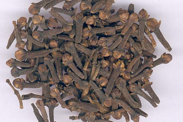 丁香的性状(丁香的性状鉴别特征) 丁香的性状(丁香的性状鉴别特征)