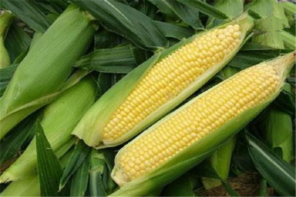 治疗肩周炎比较快捷的方法有什么呢(治疗肩周炎最有效的方法是什么?)