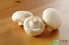 口菇变黑还能吃吗?,口蘑菇变黑了还能吃吗