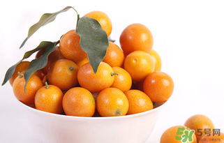哪里产的金桔最好,金桔哪里有卖 哪里产的金桔最好,金桔哪里有卖