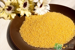 哺乳期能吃黄米吗,哺乳期可以吃大黄米吗