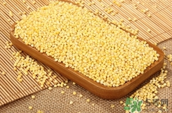 产妇能吃小黄米吗,孕妇能吃黄米吗