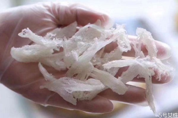 燕窝和燕条有何区别,燕条和燕窝有什么区别?