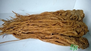 当归鸽子汤的功效,当归能和鸽子一起炖吗 当归鸽子汤的功效,当归能和鸽子一起炖吗