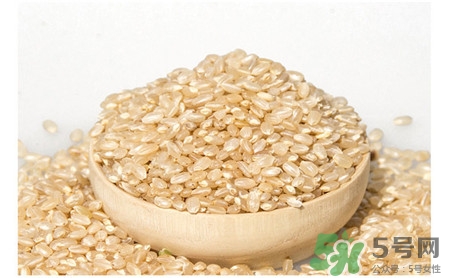 胚芽米的营养价值及功效和作用,胚芽米有什么营养和功效